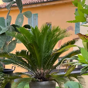 Appartamento Il Terrazzo Di San Colombano